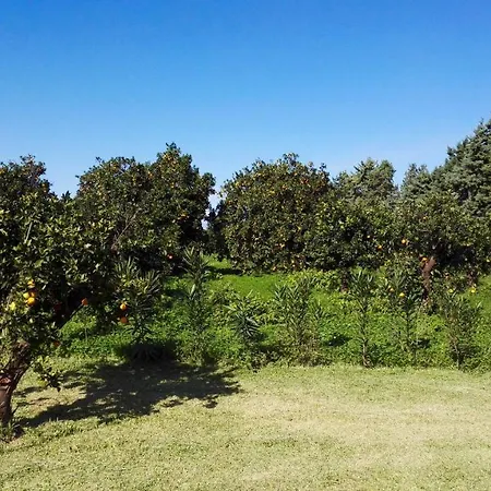 Tenuta San Calogero Alloro Séjour à la campagne Agnone Bagni