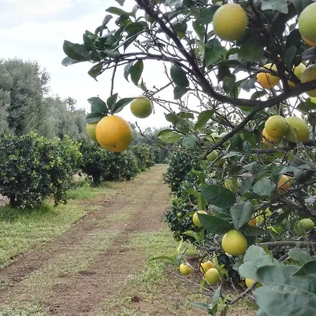Tenuta San Calogero Alloro * Agnone Bagni