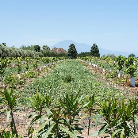 Séjour à la campagne Tenuta San Calogero Alloro Agnone Bagni