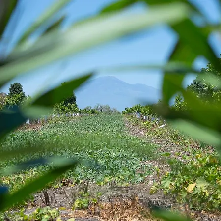 Séjour à la campagne Tenuta San Calogero Alloro